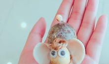 贝壳视频,探索房产新视角，解锁美好居住生活